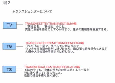 トランスジェンダーの説明